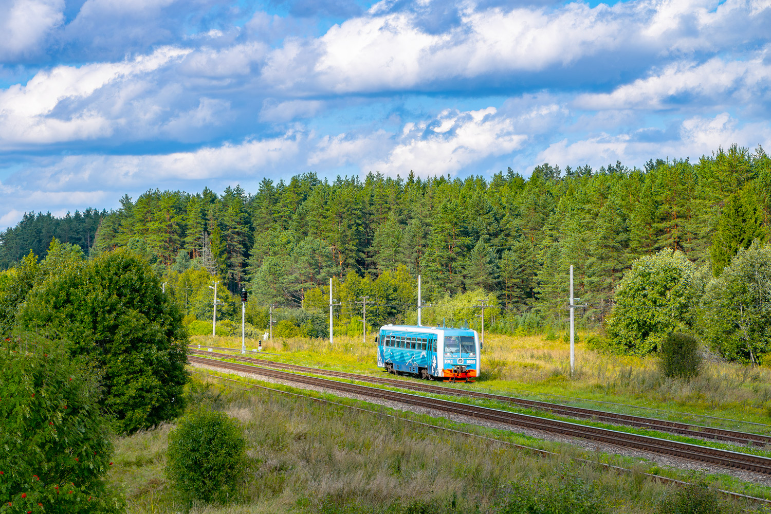 РА1-0009