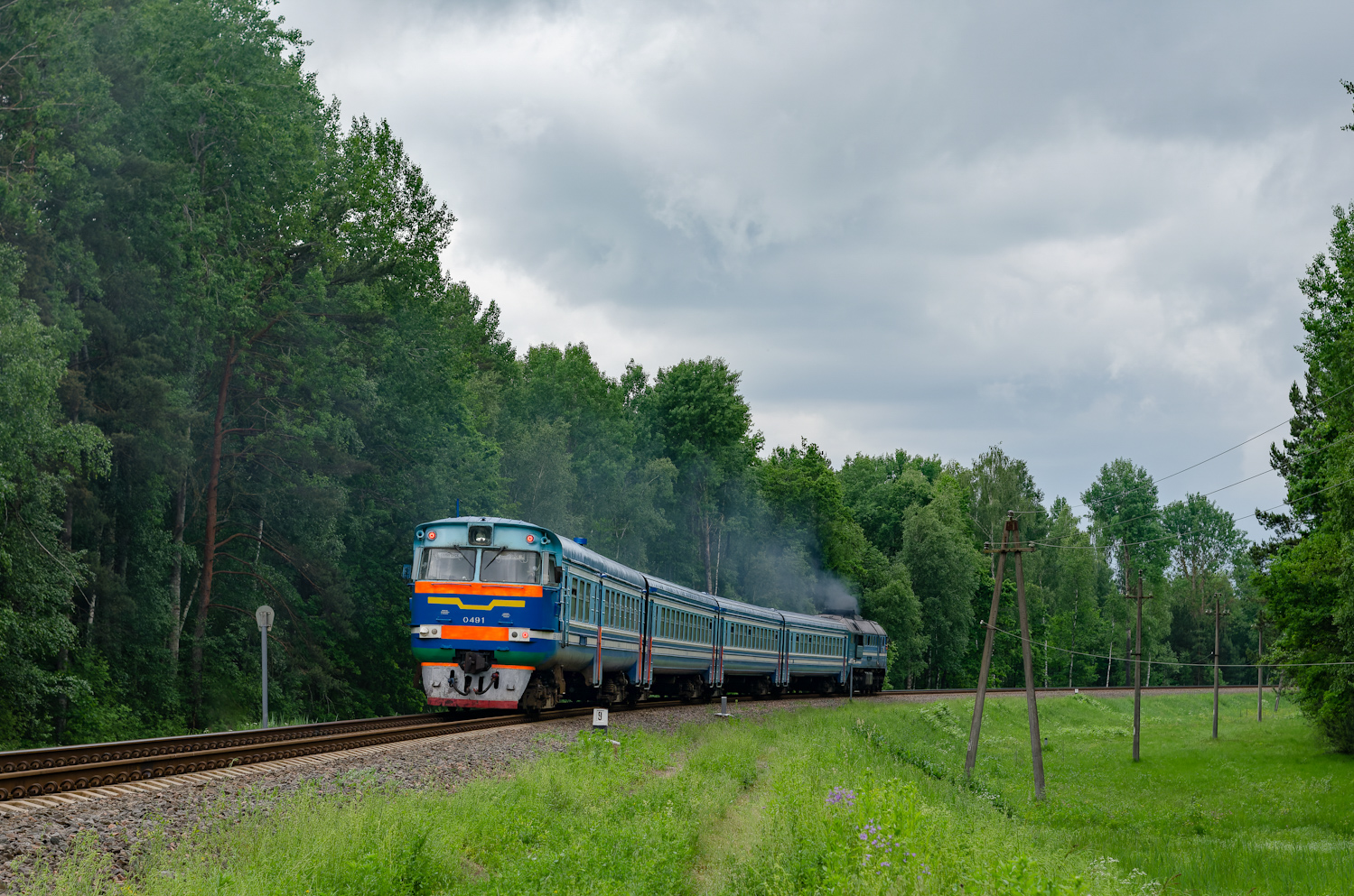 ДРБ1М-0491