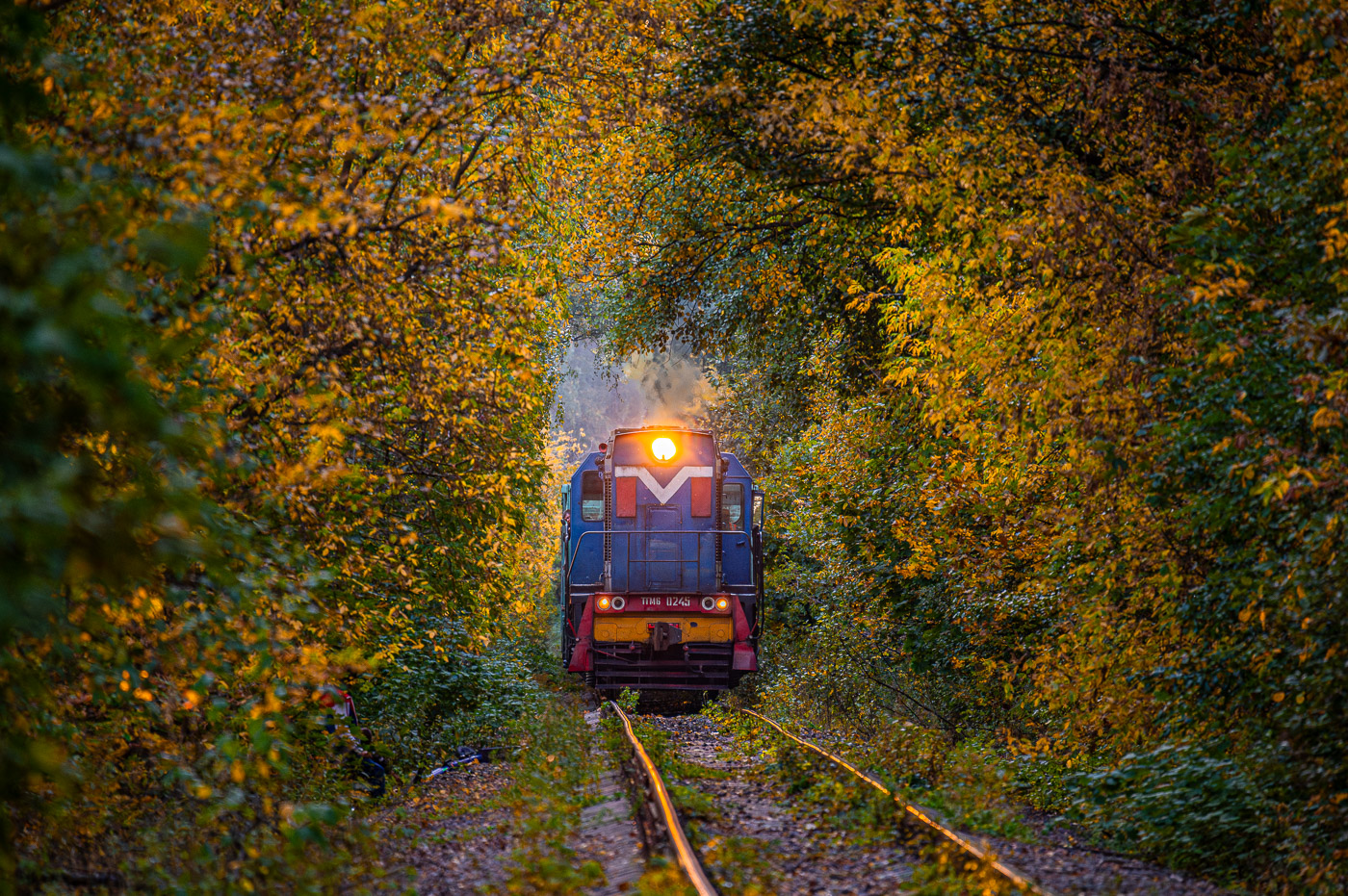 ТГМ6В-0245