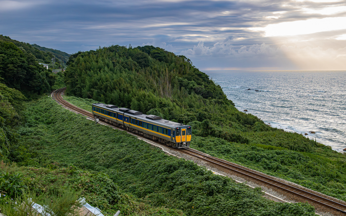 KiHa 187-6