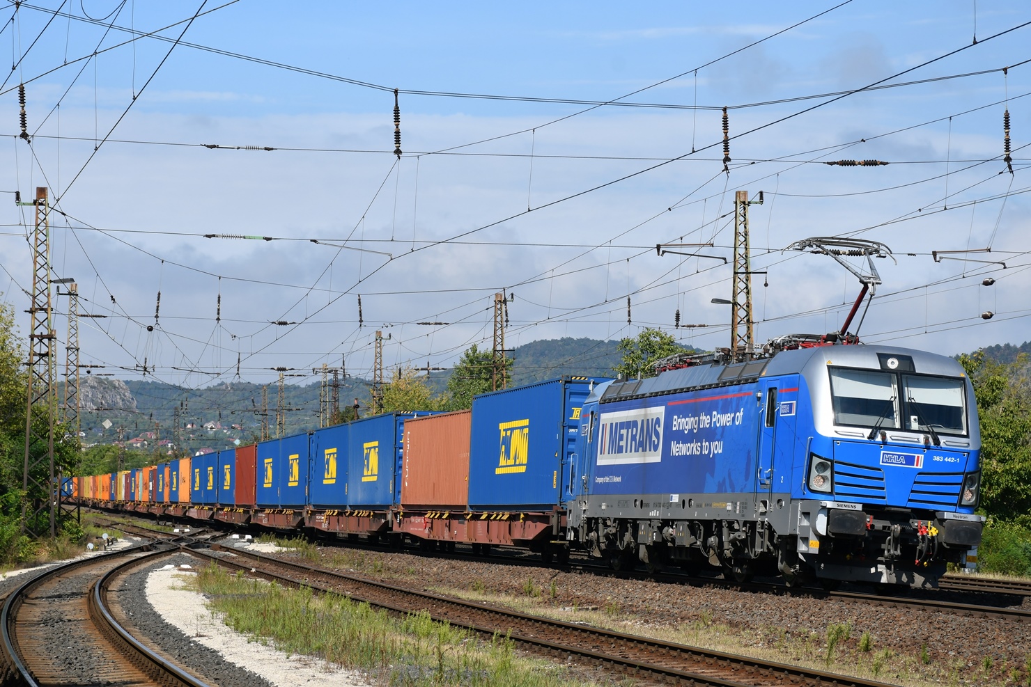 383 442-1