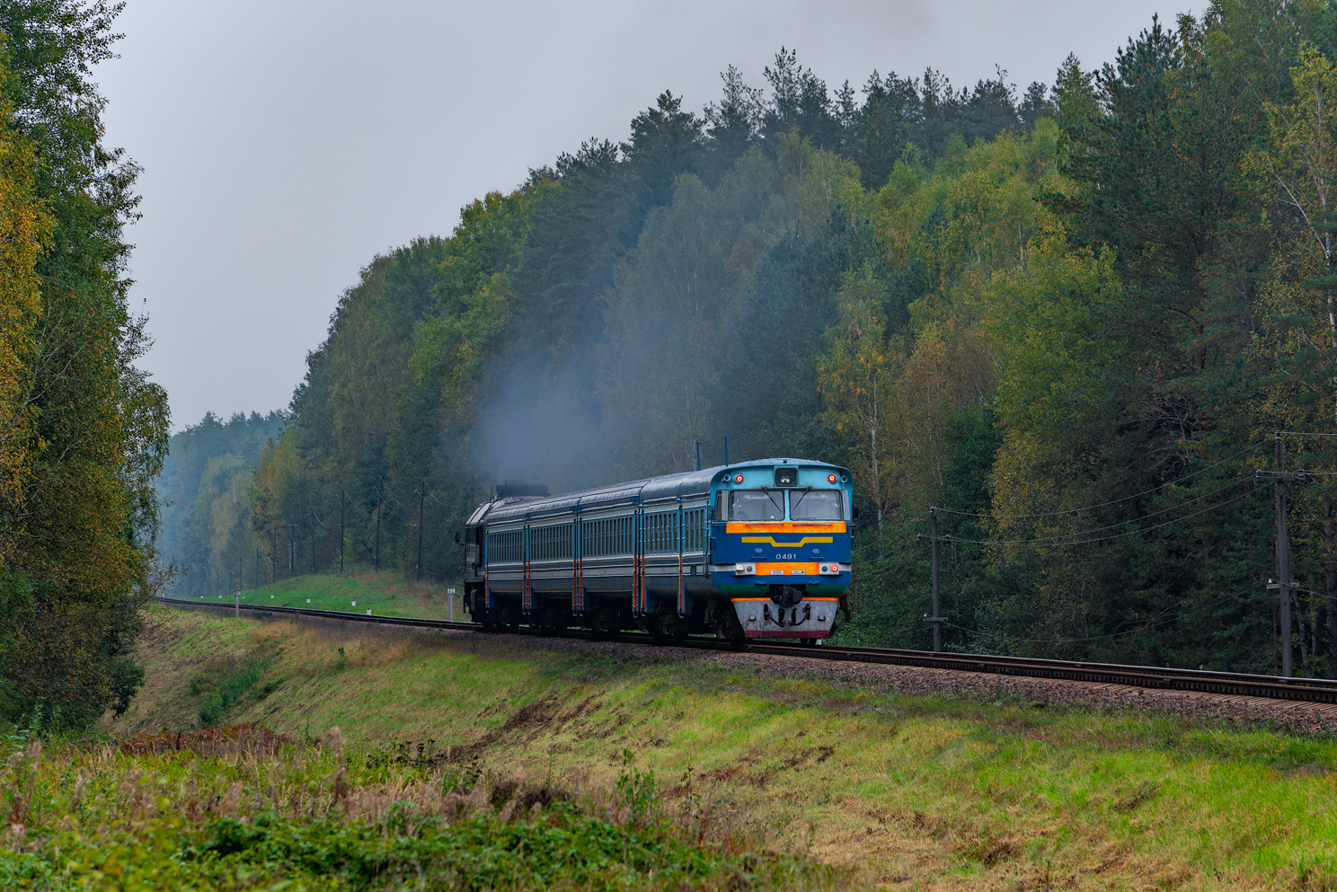 ДРБ1М-0491