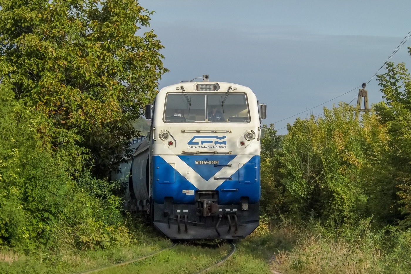 ТЭ33АС-3012
