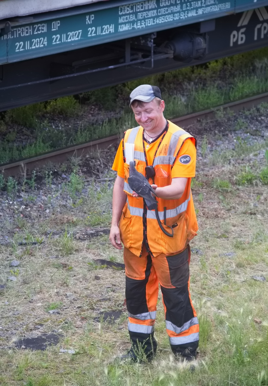 Railway Life
