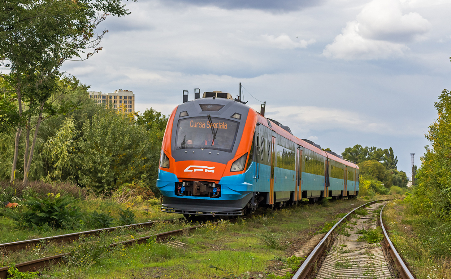 D1M-004