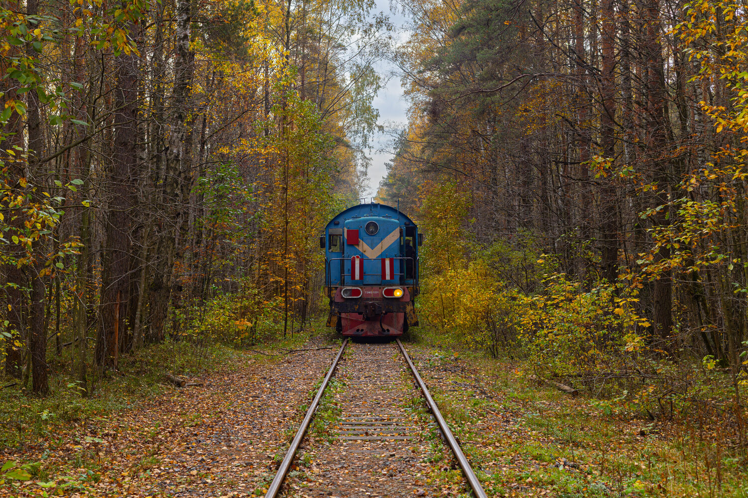 ТЭМ2-1231