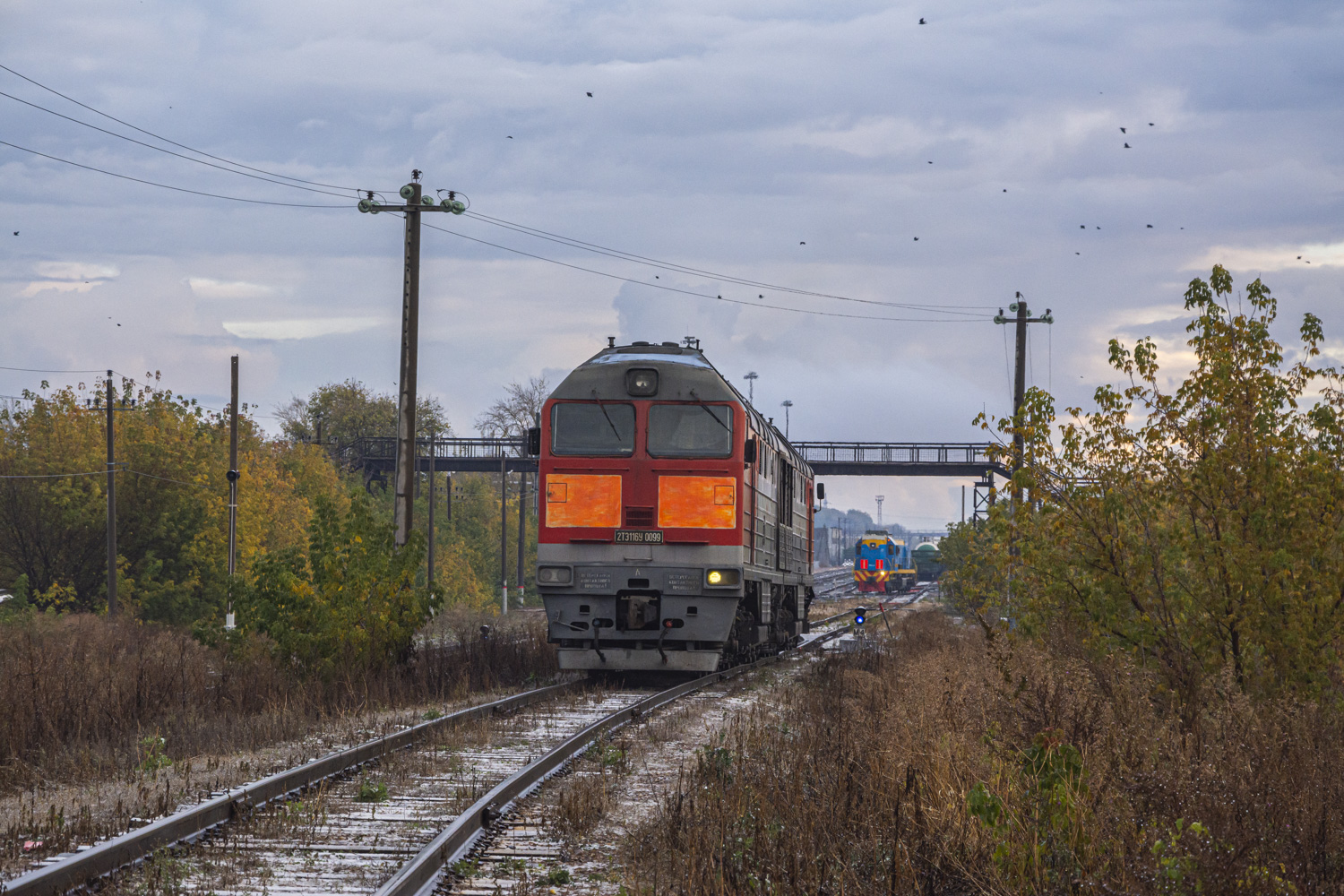 2ТЭ116У-0099