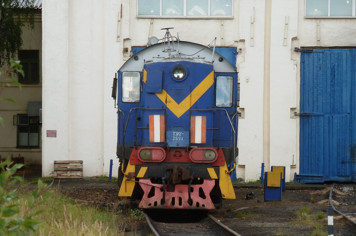 ТЭМ2-2691