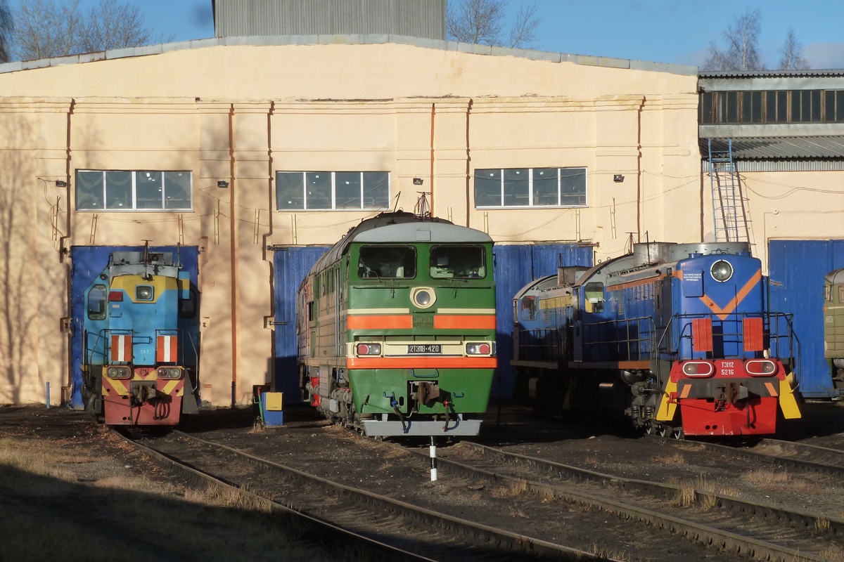 ТЭМ18ДМ-397; 2ТЭ116-420; ТЭМ2А-5216