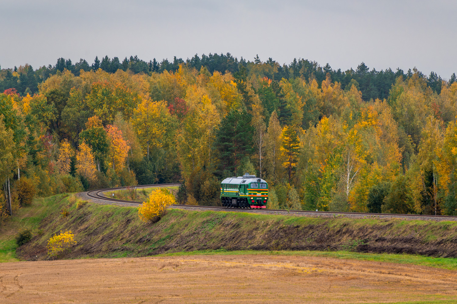 ДМ62-1818