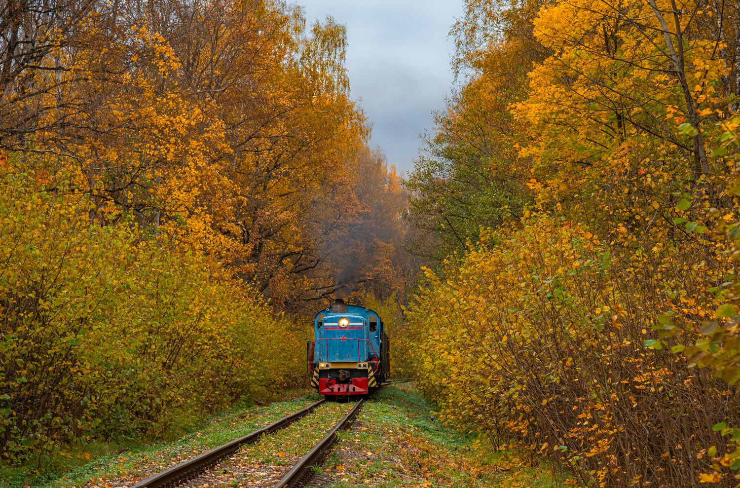 ТГМ4А-1557